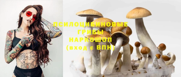 ECSTASY Вязники