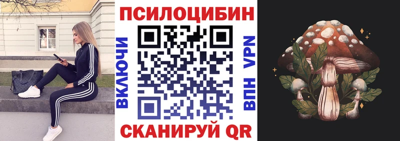 Купить закладки  Тбилисская  Псилоцибиновые грибы мицелий 